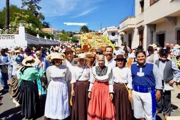Romería ofrenda a la Virgen del Pino (Foto TA y Antonio Alí)